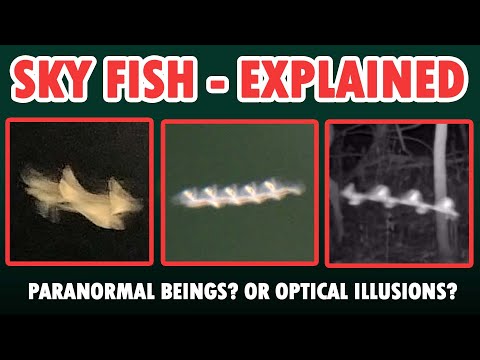 Sky Fish Explained - What Are Flying Rods?