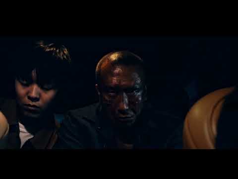 비디오 14