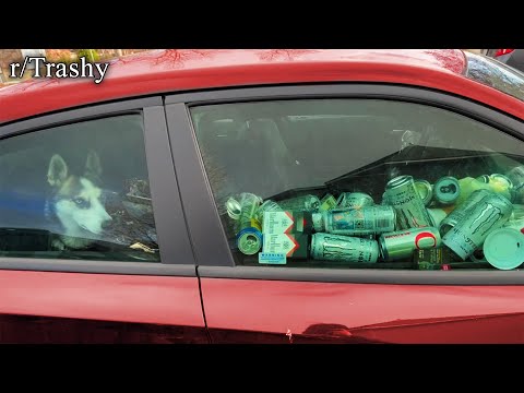 r/Trashy | what the dog doing?