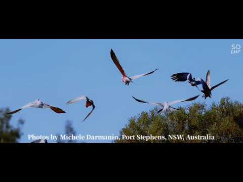 A Glimpse of Tibooburra 'The Real Outback of NSW Australia.