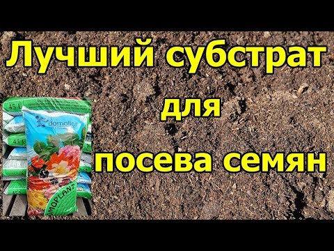 🌱Лучший субстрат для посева семян.