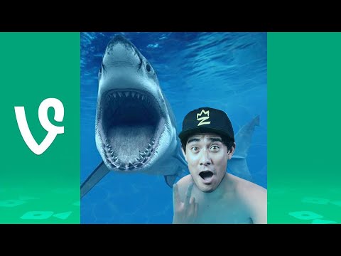 Zach King Vine and Tik Tok Compilation 2020 - Best Magic Vines !!! (Part 28)