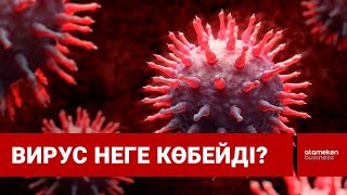 Вирус неге көбейді? 