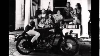 Tav Falco's Panther Burns -  Bertha Lou