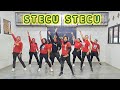 STECU STECU Musik TikTok Viral Senam Kreasi Choreo By SS Prambos