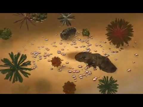 Bioshield Antimicrobial - Animation video