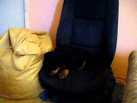 furious dozer buldozer