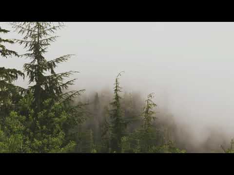 Soudiere Fear No Evil 恐怖はない