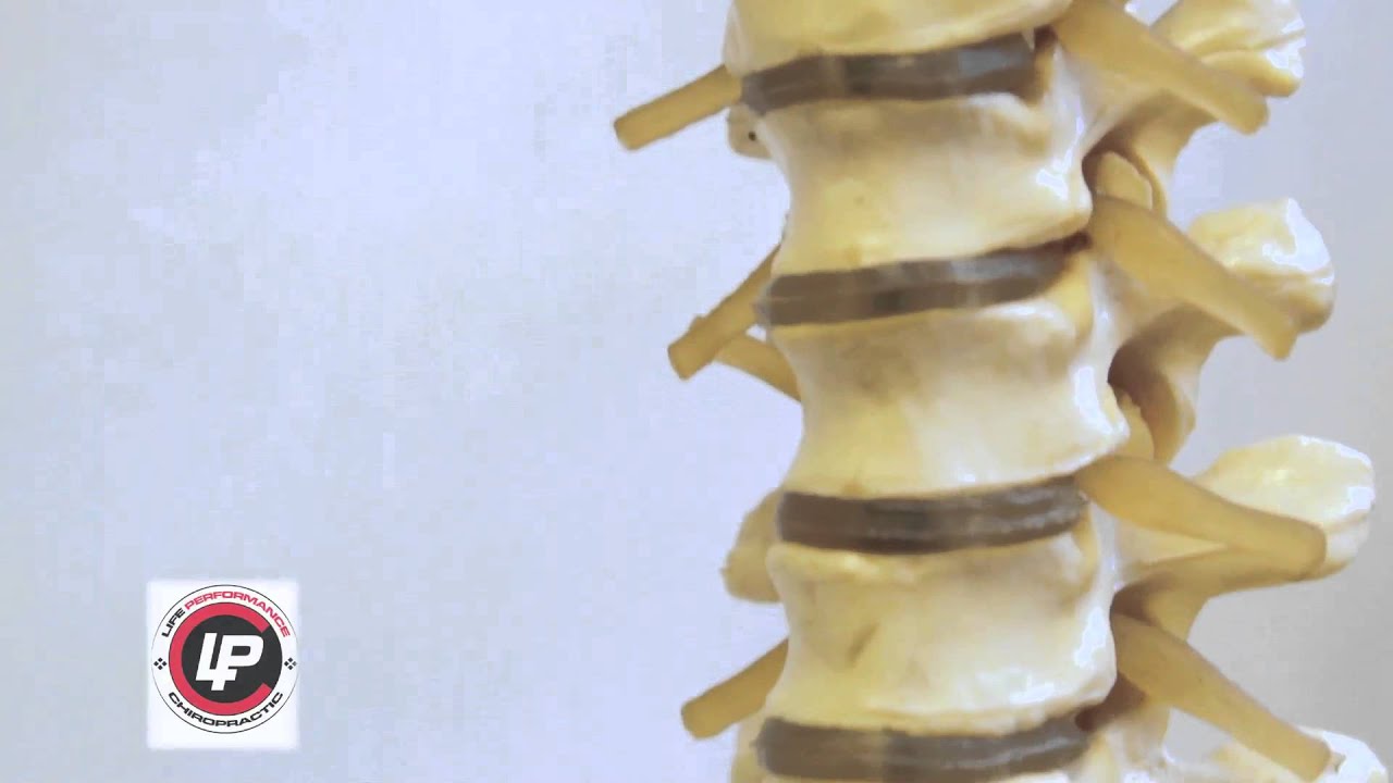 Chiropractic