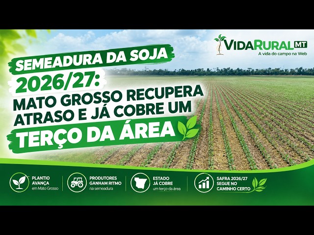 MATO GROSSO RECUPERA ATRASO E JÁ COBRE UM TERÇO DA ÁREA