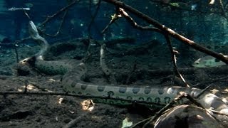preview picture of video 'Anaconda, sport float in rio da prata, Jardim, Mato Grosso do sul,'