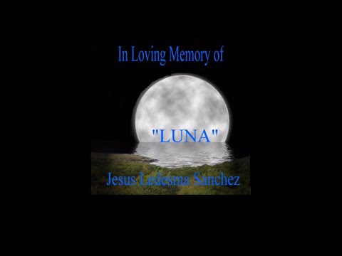 Chuy Sánchez Memorial Video