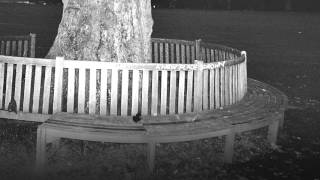 Archy Marshall - Any God Of Yours