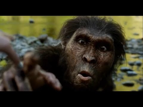 Lucy [2014] - Australopithecus Screen Time