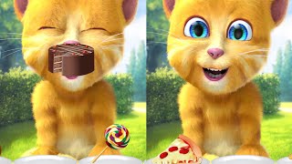My talking ginger funni cat🐱 enjoy 🍰eat banana🍌 masti ginger in gardens