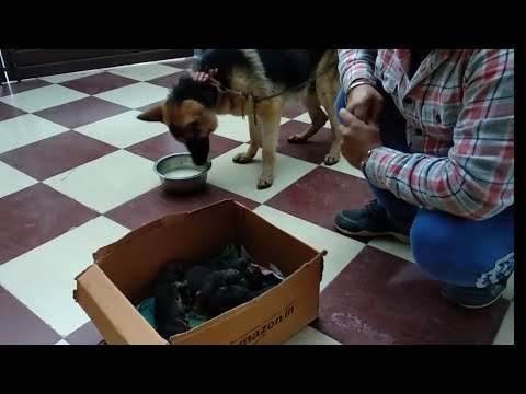 Isang lagay ng lupa sa ang mga epekto ng pagbaba ng timbang mga review Mawalan ng timbang sa paglilimita taba