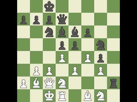 Kireev Aleksei (RUS) VS Krush Irina (USA)