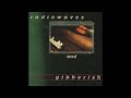 Radiowaves & Gibberish   brandston   nineveh   Steadfast Records Compilation 1997