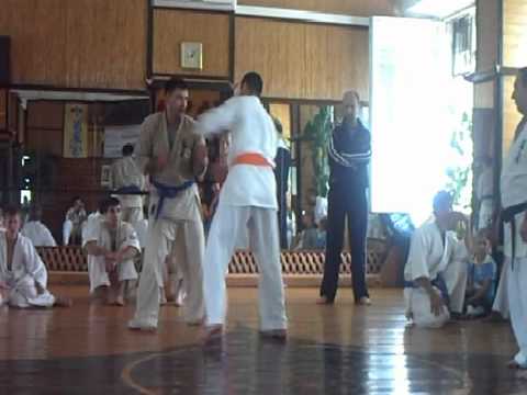 ION KYOKUSHIN