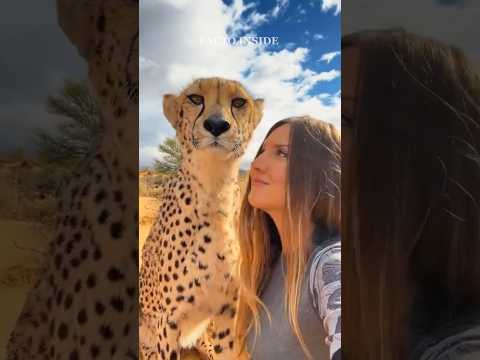 Никогда не беги от него! Секрет выживания 🐆