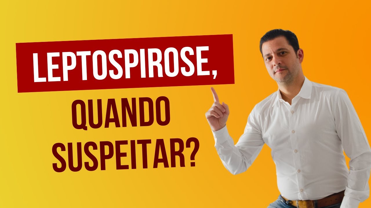 Leptospirose em cães, quando suspeitar dessa doença?