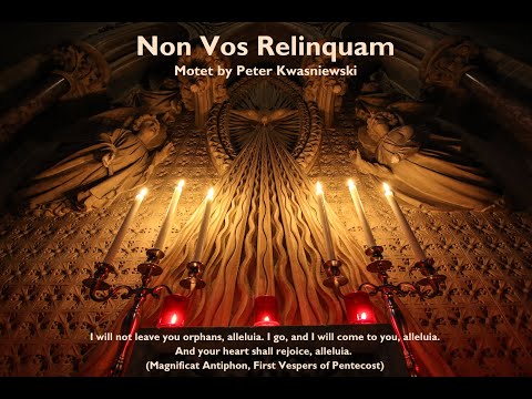Non Vos Relinquam