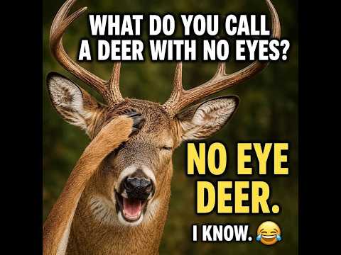 Jokes For Good Night