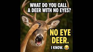 😆Funny Memes, Puns & Jokes 😆 Episode 543 😆 TRY NOT TO LAUGH 😆 BIG Compilation 😆Best On the Internet!