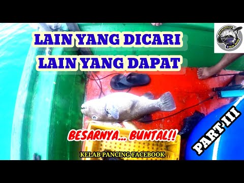 LAIN YANG DICARI LAIN YANG DAPAT - TRIP CANDAT SOTONG CARI LAUK PUASA TAHUN 2022 - PART III