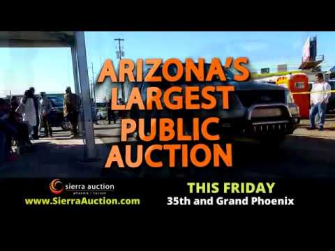 Sierra Auction Phoenix Friday