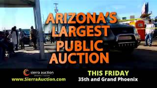 Sierra Auction Phoenix Friday