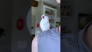 Miniature vidéo