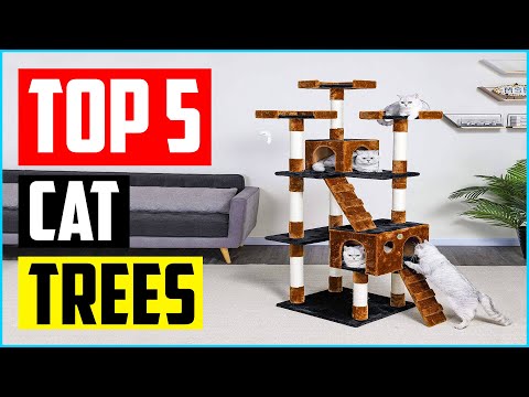 Top 5 Best Cat Trees for Large Cats in 2022 Reviews