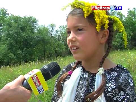 Boholt  -  Cunoastere prin traditie