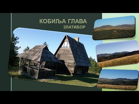 КОБИЉА ГЛАВА; ЗЛАТИБОР