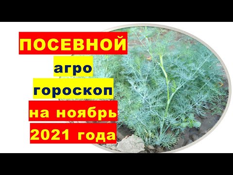 , title : 'Посевной агрогороскоп на ноябрь 2021 года'