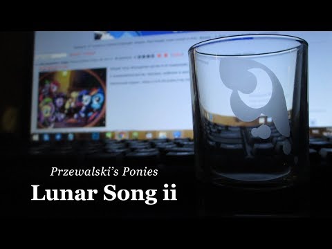 Przewalski's Ponies - Lunar Song ii (Official Video)