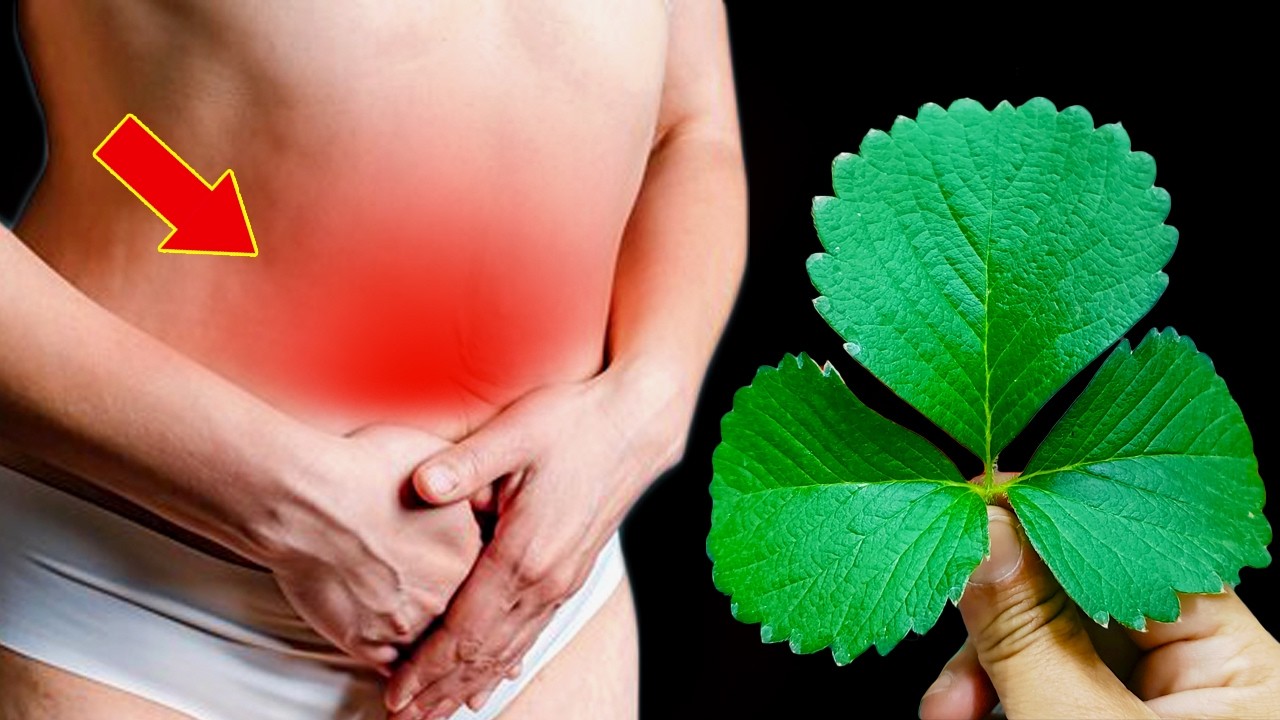1 leaf destroys inflammation, high blood pressure, cholesterol, diarrhea, ulcer, gastritis