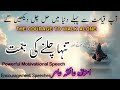 Powerful Motivational Speech People S Taunts And The Courage To Follow Islam Alone Aiasha Amir