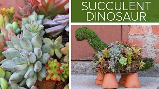 Succulent Dinosaur