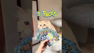 Download lagu Cat Pokémon Battle EP 66 🧄🧂🌶️ mp3 Download lagu Cat Pokémon Battle EP 66 🧄🧂🌶️ mp3