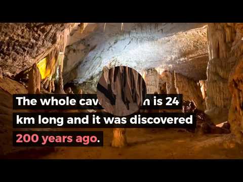 Postojna Cave Slovenia