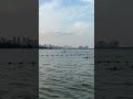 Row Row Row Your Boat Boat