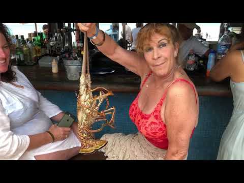 Cancun CEO lobster dinner