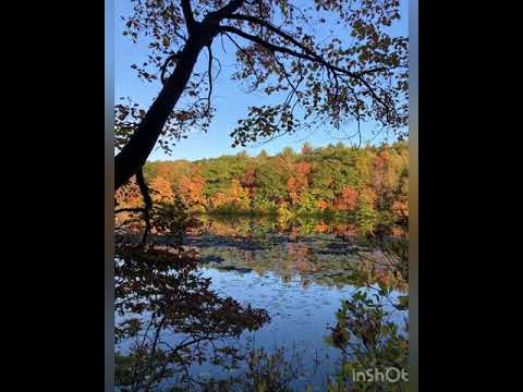 3 Things I Like About Moore State Park