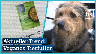 Veganes Tierfutter: Was kann das? | hessenschau