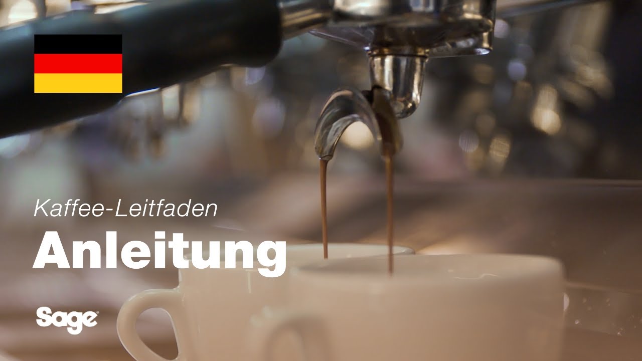 Ausgewogene Extraktion