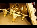 Shinhwa - The Solver (해결사) 