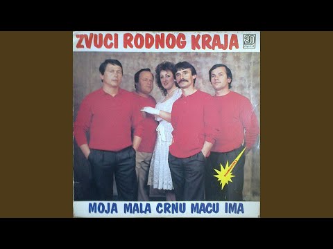 Moja mala crnu macu ima