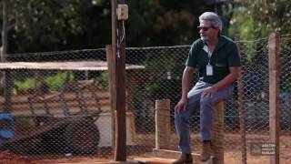 Miniatura do vídeo